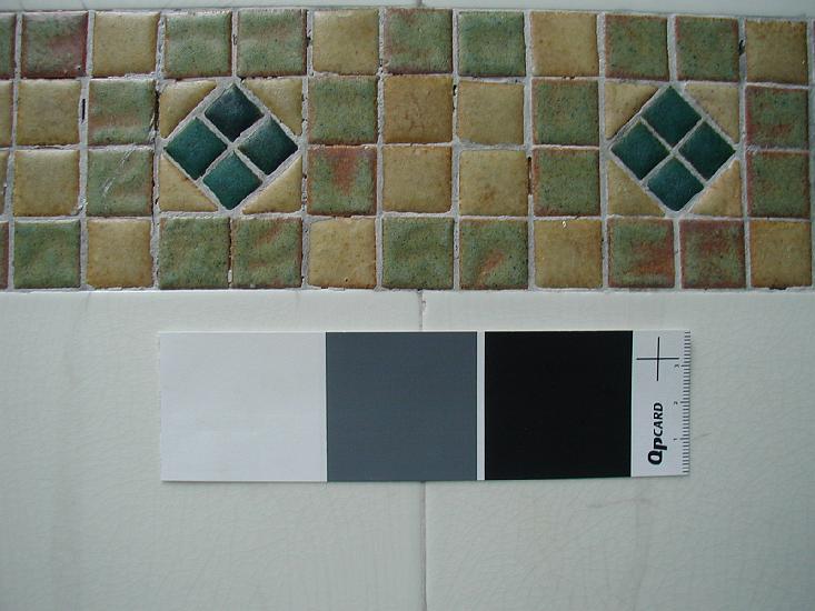 Plunge Tile 2